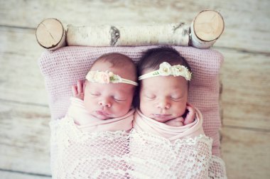 Yeni doğan ikizler huş ağacının altında uyuyorlar. Doğuştan kardeş aşkı. Kız kardeşler birlikte yatar..