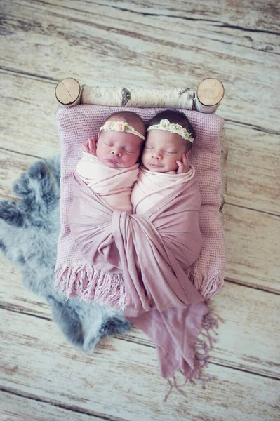 태어난 쌍둥이가 침대에서 이불에 싸여져 있습니다 태어나면서부터 사랑을 나누는 자매들은 — 스톡 사진