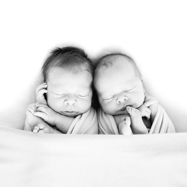 新生児の双子が毛布の上で眠っている包み紙に包まれた 赤ん坊は一緒に嘘をつく 生まれた時からの兄弟愛 白黒写真 — ストック写真