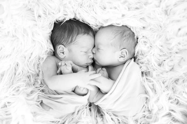 Gemelos Recién Nacidos Durmiendo Juntos Abrazo Los Bebés Envueltos Una — Foto de Stock