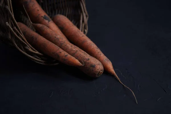 Fresh carrots lie in a basket on a black background, collected in a vegetable garden.Close-up