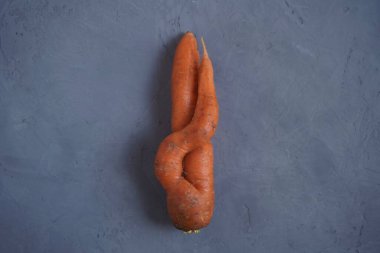 Taze, çirkin havuçlar, sebze bahçesinden toplanmış gri bir arka plan. Yukarıdan, yakın plan.