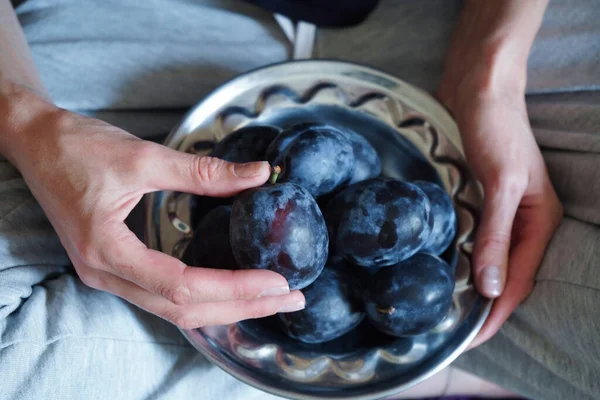 Woman Holding Metal Plate Group Blue Ripe Juicy Plums Top — Stock Photo, Image