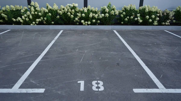 Close-up of a white paint number marking in a parking lot. Empty parking lot, Parking lot with white mark, Open parking in public park. Number 18