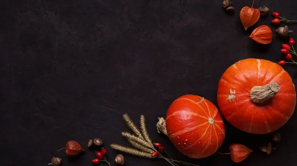 明亮成熟的橙色南瓜 红玫瑰的臀部 橙色的阴茎和橡果的黑色混凝土背景 顶部视图 复制空间 秋季大气概念 — 图库照片