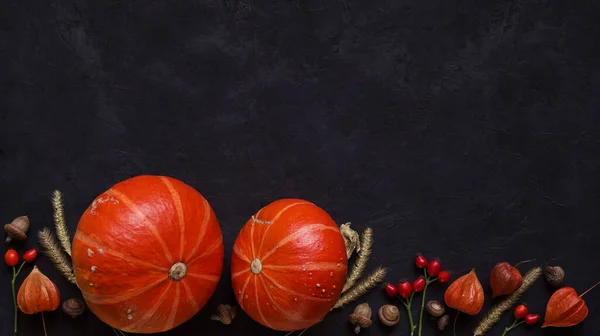 明亮成熟的橙色南瓜 红玫瑰的臀部 橙色的阴茎和橡果的黑色混凝土背景 顶部视图 复制空间 秋季大气概念 — 图库照片