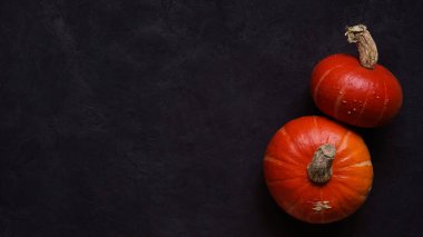 Sonbahar, sonbahar, şükran günü, cadılar bayramı konsepti. Minimum kompozisyon. Turuncu balkabaklı siyah beton arka plan. Üst görünüm, düz görünüm, kopyalama alanı.