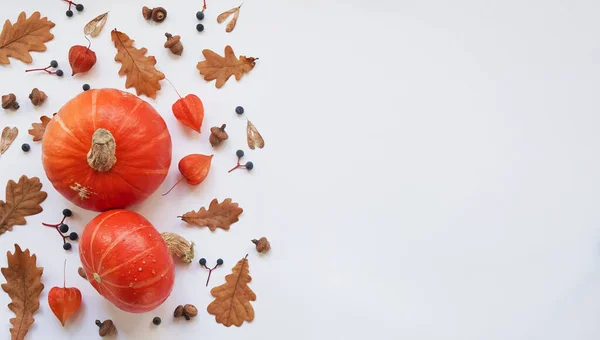 秋天的作文 植物莎草 干枯的橡树叶 野生的番石榴 葡萄和橡子在白色背景上的花纹 秋天秋天感恩节的概念平面 顶部视图 复制空间 — 图库照片