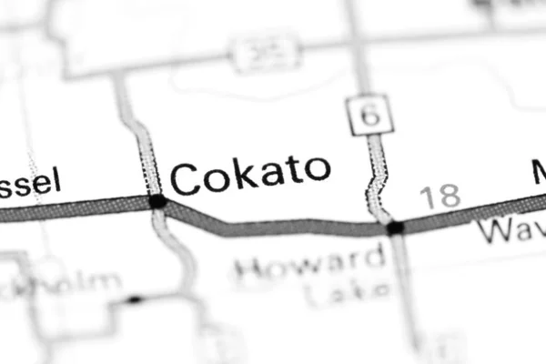 Det Cokato Minnesota Usa Karta — Stockfoto