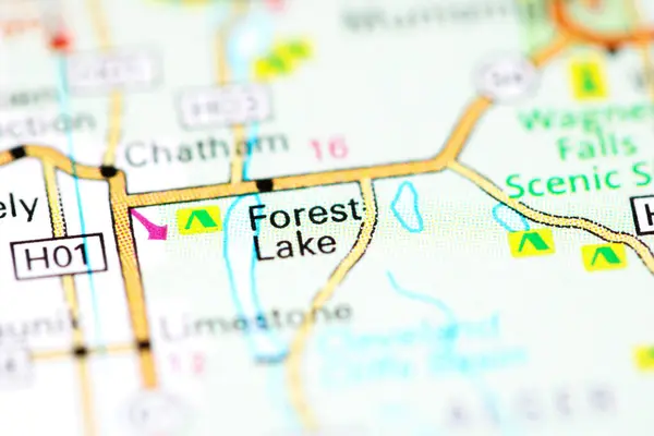 Forest Gölü Michigan Abd Haritada — Stok fotoğraf