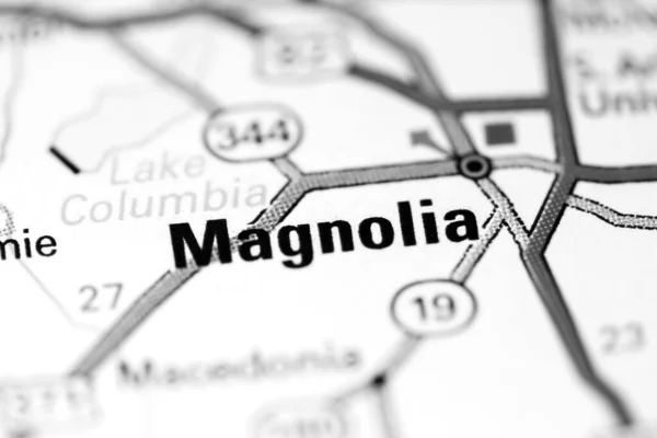 Magnólia Vagyok Alabamában Usa Térképen — Stock Fotó