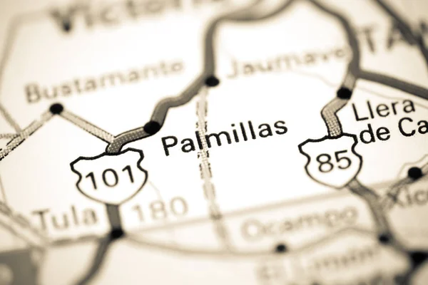 Palmillas México Mapa — Foto de Stock