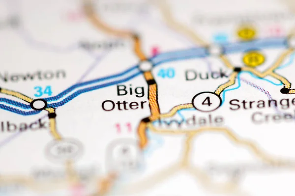 Big otter Stock Photos, Royalty Free Big otter Images | Depositphotos