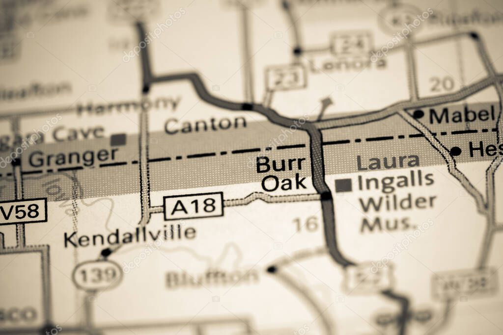 Burr Oak
