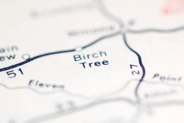 バーチの木 ミズーリ州 地理地図上のアメリカ — ストック写真