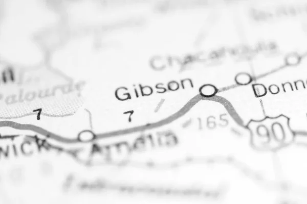 Gibson Det Louisiana Usa Geografisk Karta — Stockfoto
