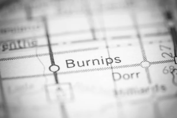 Burnips Michigan Stati Uniti Una Mappa Geografica — Foto Stock