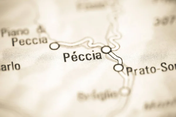 Peccia Γεωγραφικό Χάρτη Της Ελβετίας — Φωτογραφία Αρχείου