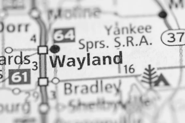 Wayland Michigan Eua Mapa — Fotografia de Stock