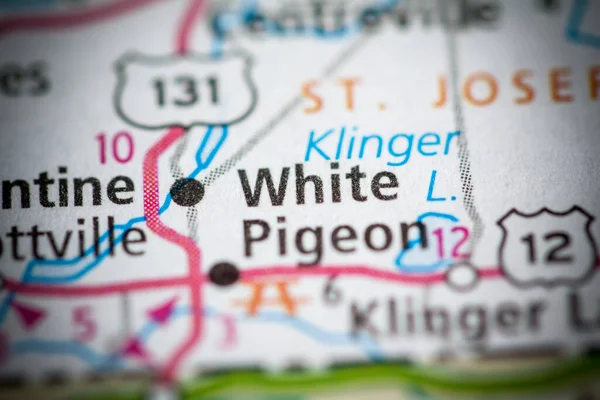 Pigeon Blanc Michigan États Unis — Photo