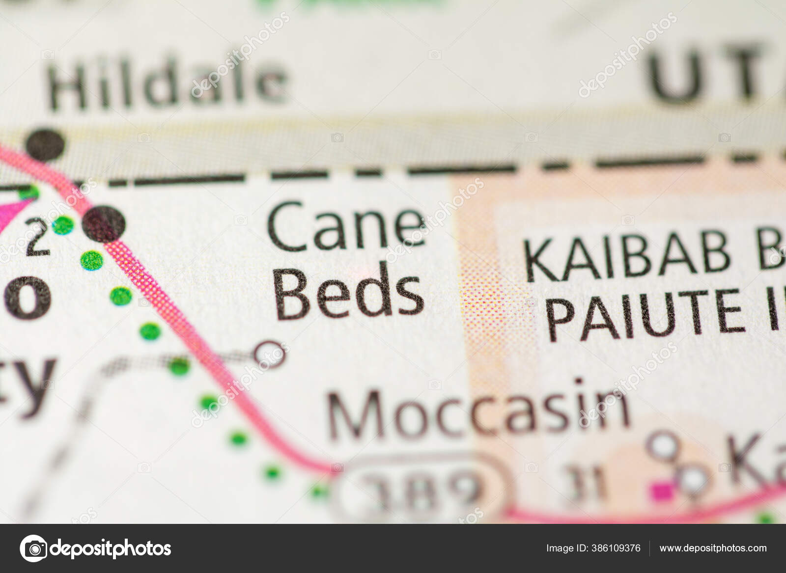 Cane Beds Arizona Usa ⬇ Stock Photo, Image by © aliceinwonderland2020