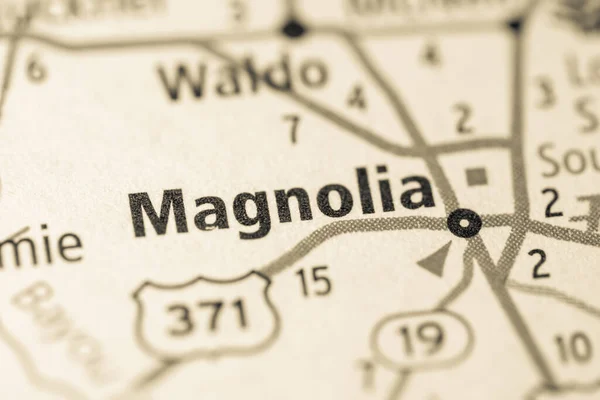 Magnólia Vagyok Arkansas Ban Amerikai Térkép — Stock Fotó