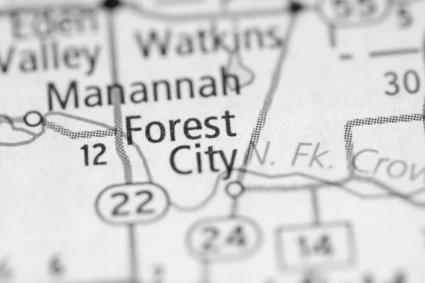 Skogsstaden Minnesota Förenta Staterna — Stockfoto