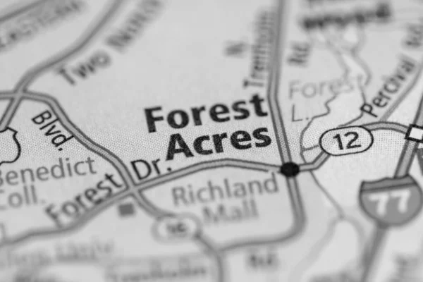 Leśne Akry Południowa Karolina Stany Zjednoczone — Zdjęcie stockowe