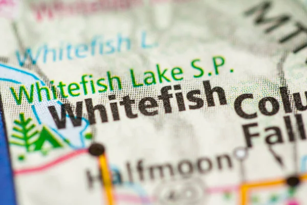 Pesce Bianco Montana Mappa Degli Stati Uniti — Foto Stock