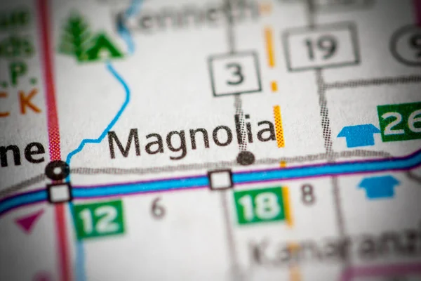 Magnólia Vagyok Minnesotában Amerikai Térkép — Stock Fotó