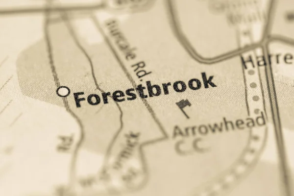 Forestbrook Güney Carolina Abd — Stok fotoğraf