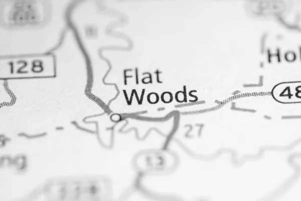 Флэт Вудс Теннесси Сша Концепция Дорожной Карты — стоковое фото