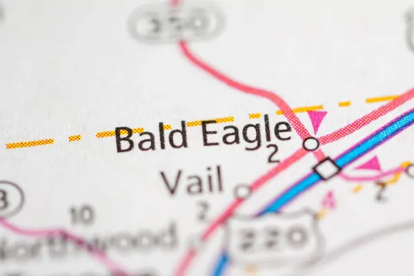 Bald Eagle. Pennsylvania. USA
