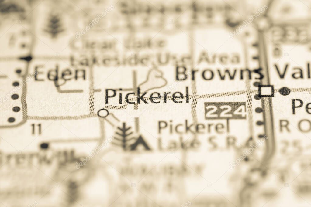 PICKEREL