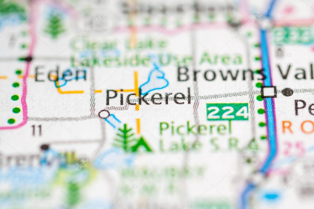 Pickerel