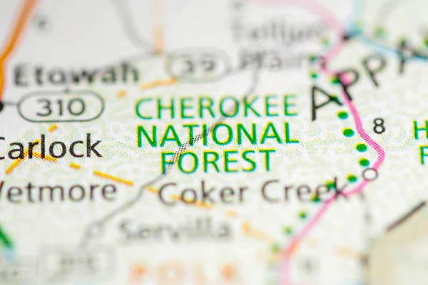 Bosque Nacional Cherokee Tennessee Estados Unidos — Foto de Stock