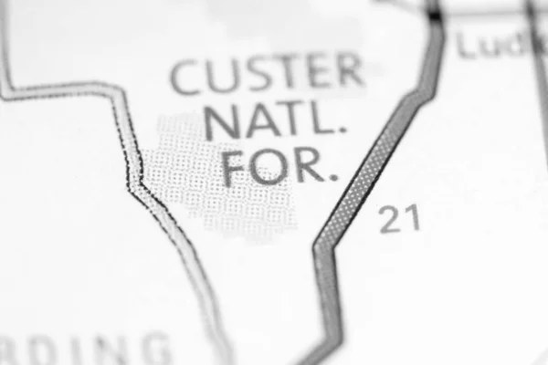 Bosque Nacional Custer Dakota Del Sur Eeuu Mapa — Foto de Stock