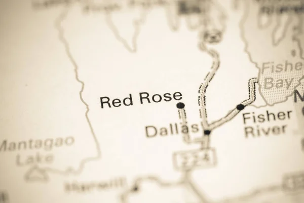 Red Rose. Canada on a map.