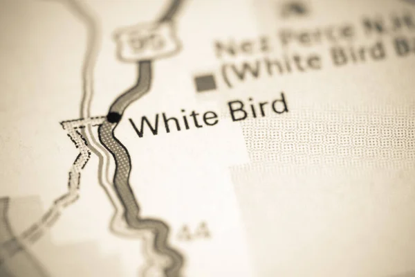 Witte Vogel Ben Idaho Usa Een Kaart — Stockfoto