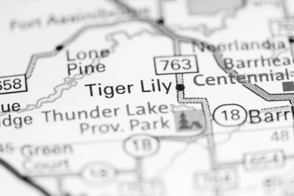 Tiger Lily. Canada on a map.