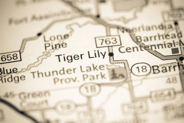 Tiger Lily. Canada on a map.