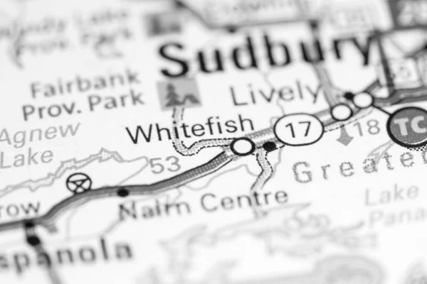 Whitefish. Canada on a map.