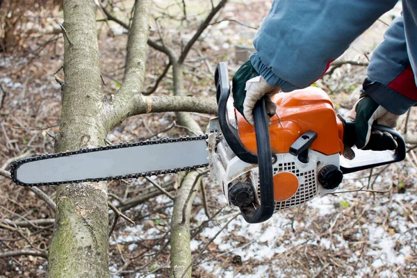 Man Saws Fallen Trees Chainsaw Early Spring Clearing Infield Unnecessary — Stock Photo, Image