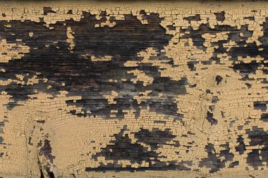 Boya soyan eski bir tahta parçası. Tahtalar sarıya boyandı. Boya çatladı ve etrafta uçtu. Yakın plan fotoğraf. Yatay.