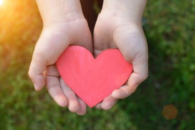 Çocuk avuçlarında yeşil yaprakların arka planında kırmızı bir kalp var. Fikir saf, samimi, çocuksu bir aşk. Yatay fotoğraf, yakın plan.