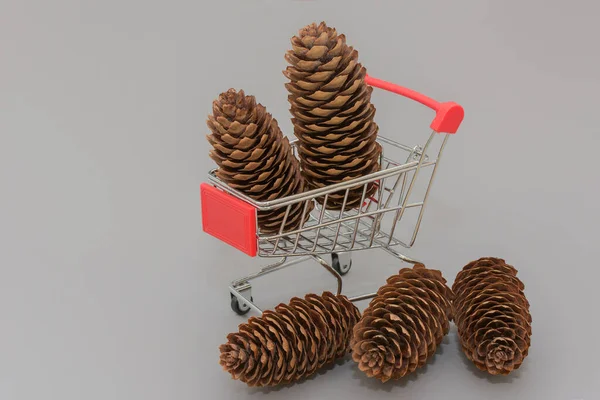 Dois Cones Abeto Pequeno Carrinho Supermercado Três Mais Próximos Conceito — Fotografia de Stock