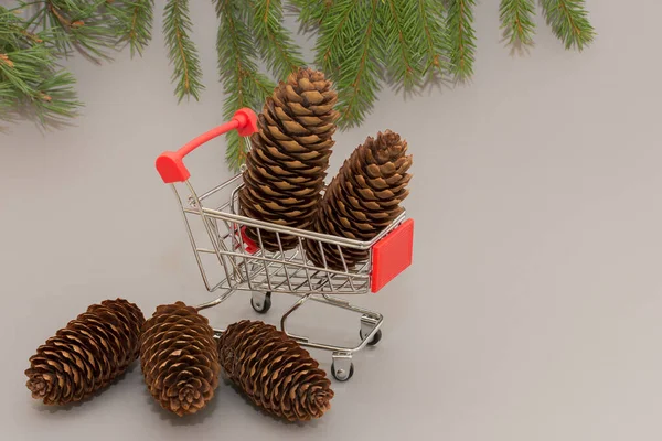 スーパートロリーには2本のモミのコーンが3本近くにある モミの木の枝を背景に コンセプト オンラインストアでの購入 任意の製品の配信 クリスマスの準備 — ストック写真