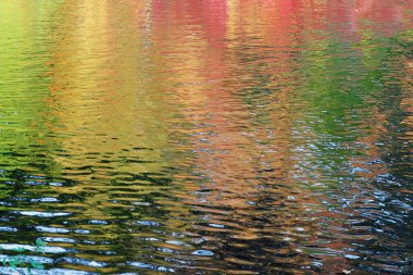 Suda yansıma. Soyutlama, arka plan, doku. çok renkli - yeşil, sarı, kırmızı, turuncu - sıcak sonbahar gölgeleri sanatsal olarak işlenmiş