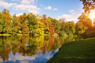 Şehir parkındaki küçük bir gölün parlak, renkli sonbahar manzarası. Sudaki ağaçların güzel yansıması