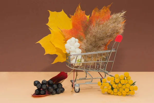 O carrinho de compras está cheio de folhas brilhantes de outono, bagas e flores secas fofas. Concepção - vendas de outono, entrega e compra de quaisquer bens, loja on-line. — Fotografia de Stock